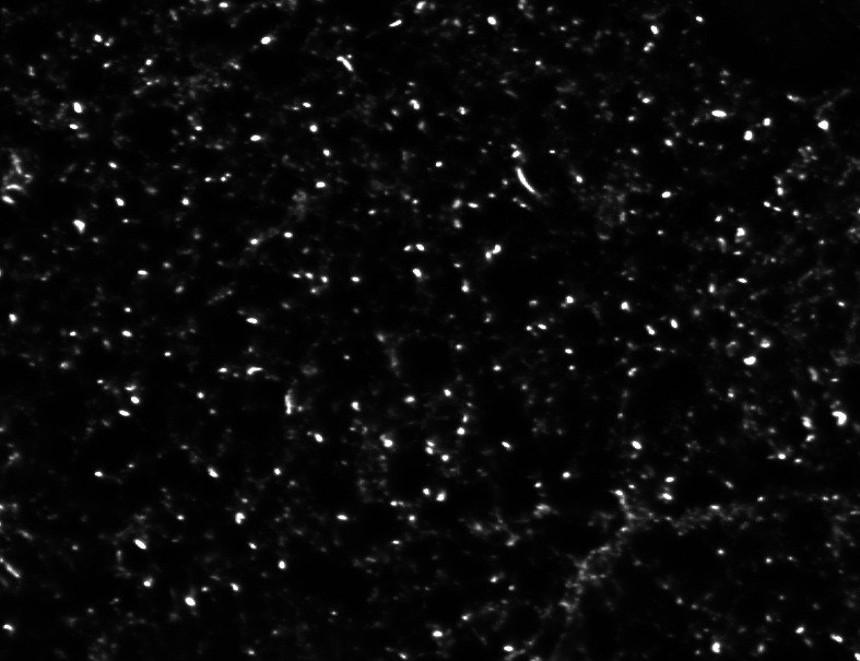 After Deconvolution